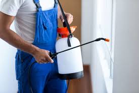 Emergency Pest Control Services in Northwood, OH